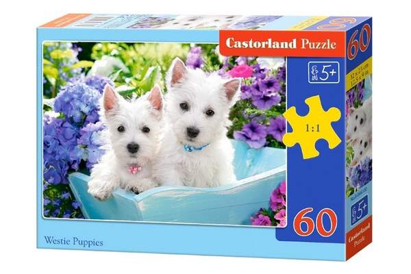 Пазл Castorland 60 B-066100 (шт.)