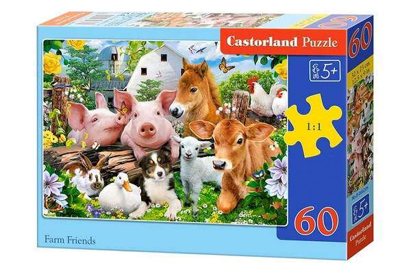 Пазл Castorland 60 B-066209 (шт.)