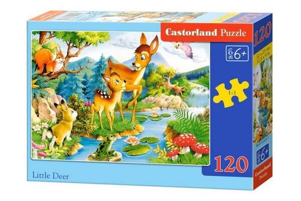 Пазл Castorland 120 midi B-12176 (шт.)