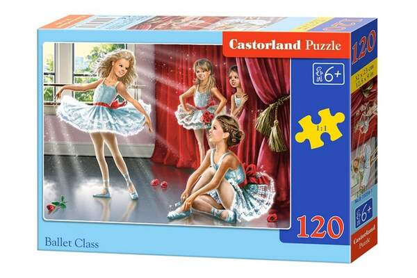Пазл Castorland 120 midi B-13036 (шт.)