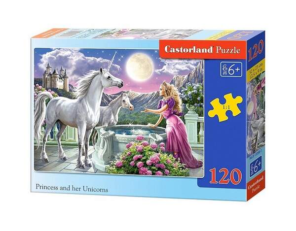 Пазл Castorland 120 midi B-13098 (шт.)