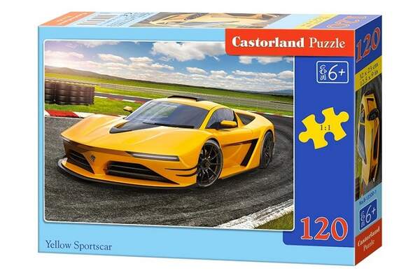 Пазл Castorland 120 midi B-13500 (шт.)