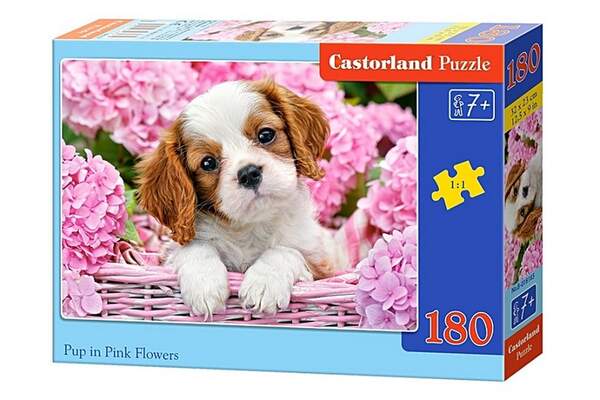 Пазл Castorland 180 B-018185 (шт.)