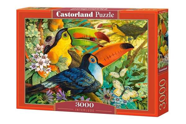 Пазл Castorland 3000 C-300433 (шт.)