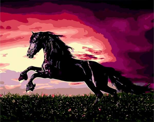 Картина за номерами "Чорний красень", 40*50, ART Line ZB.64249 (шт.)